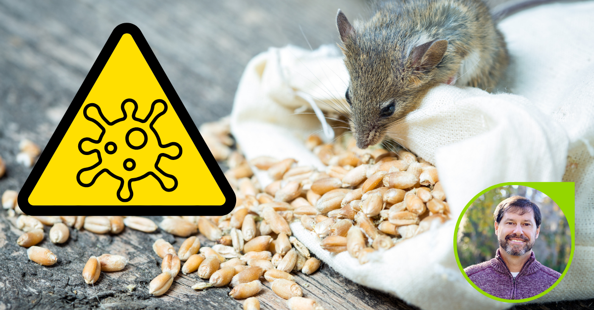 Hantavirus and Food Manufacturing